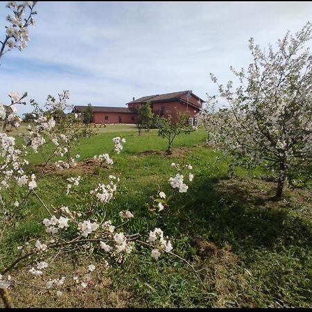 Bed and Breakfast Il Casale di Giulia di Aprilia Esterno foto
