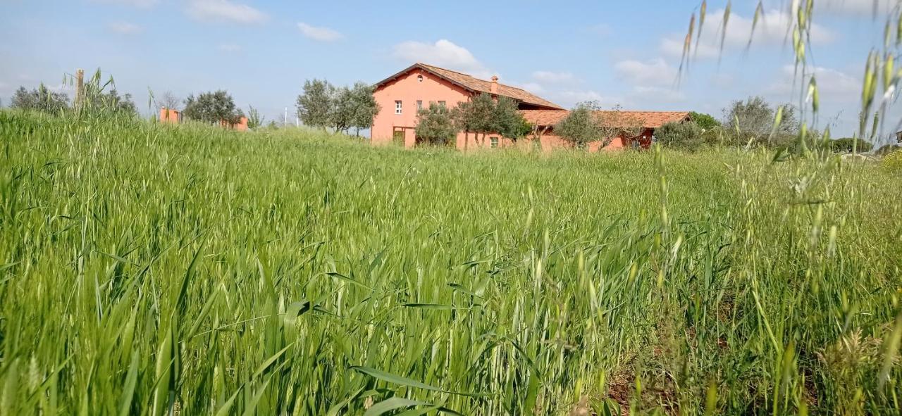 Bed and Breakfast Il Casale di Giulia di Aprilia Esterno foto