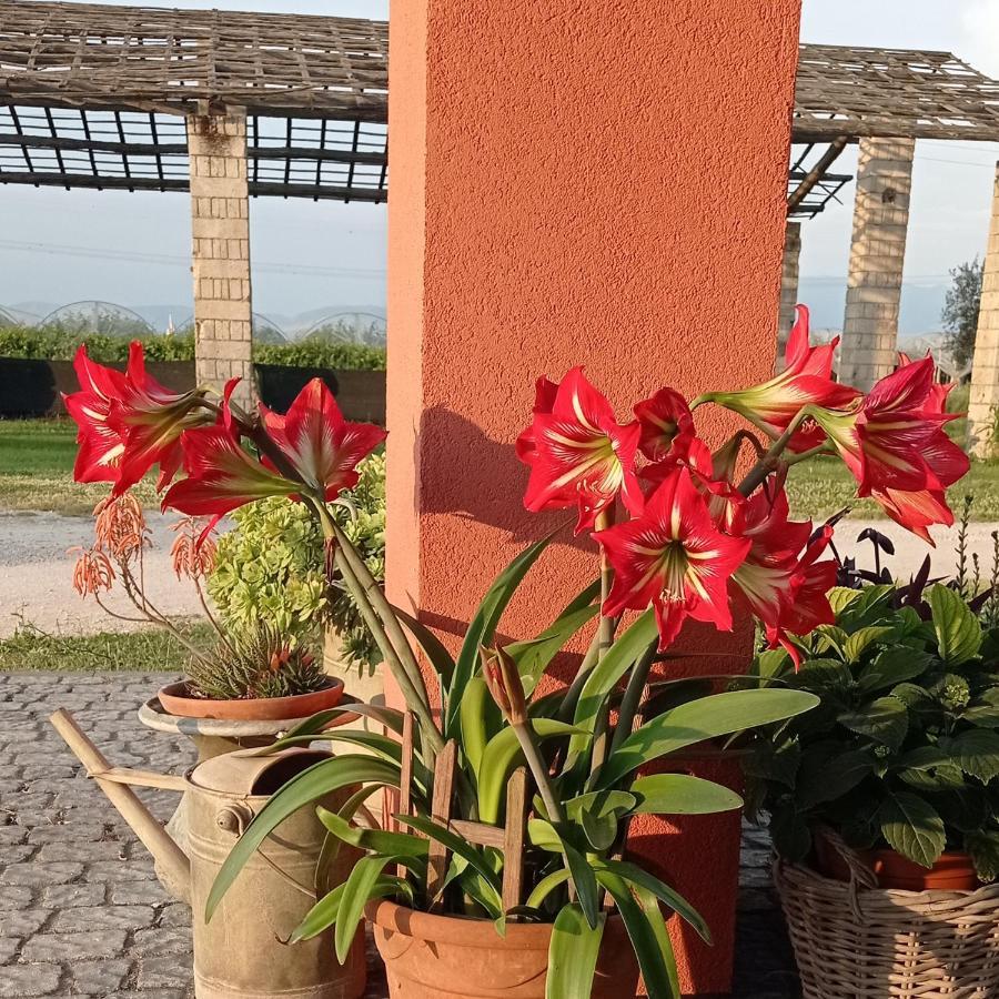 Bed and Breakfast Il Casale di Giulia di Aprilia Esterno foto