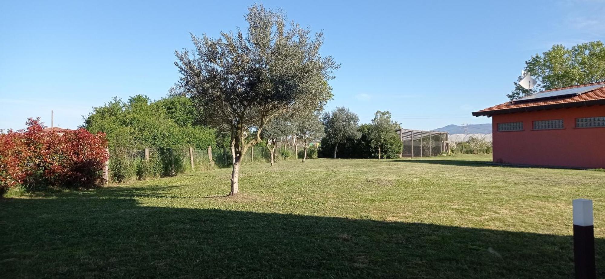 Bed and Breakfast Il Casale di Giulia di Aprilia Camera foto