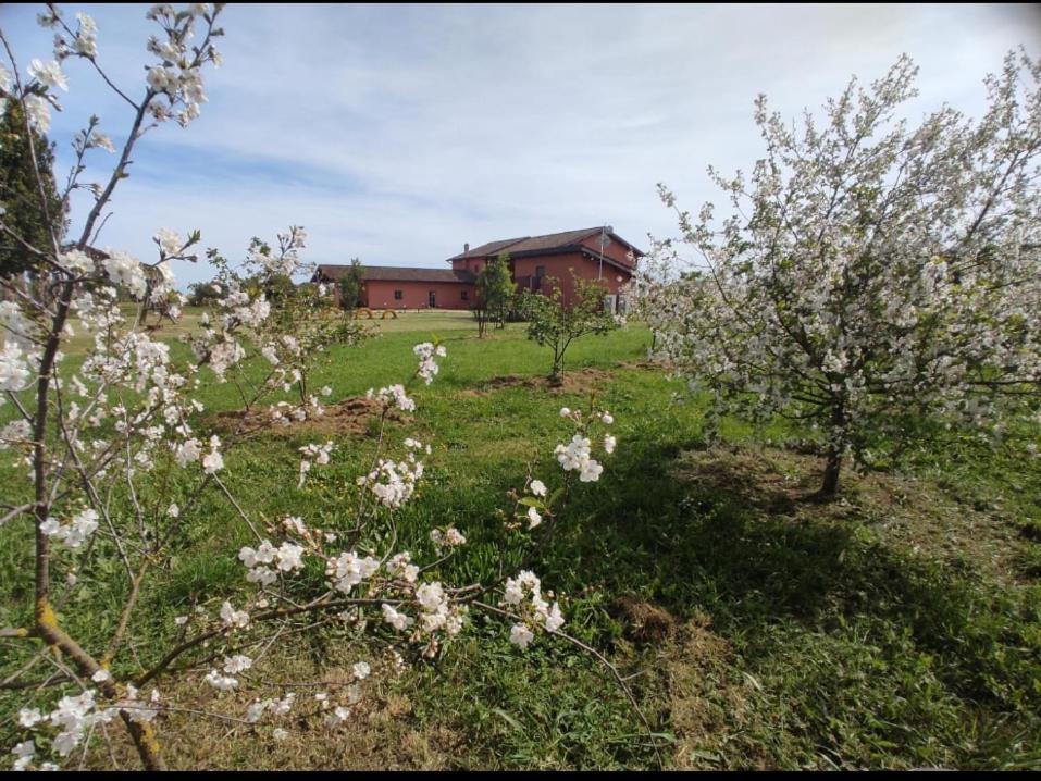 Bed and Breakfast Il Casale di Giulia di Aprilia Esterno foto