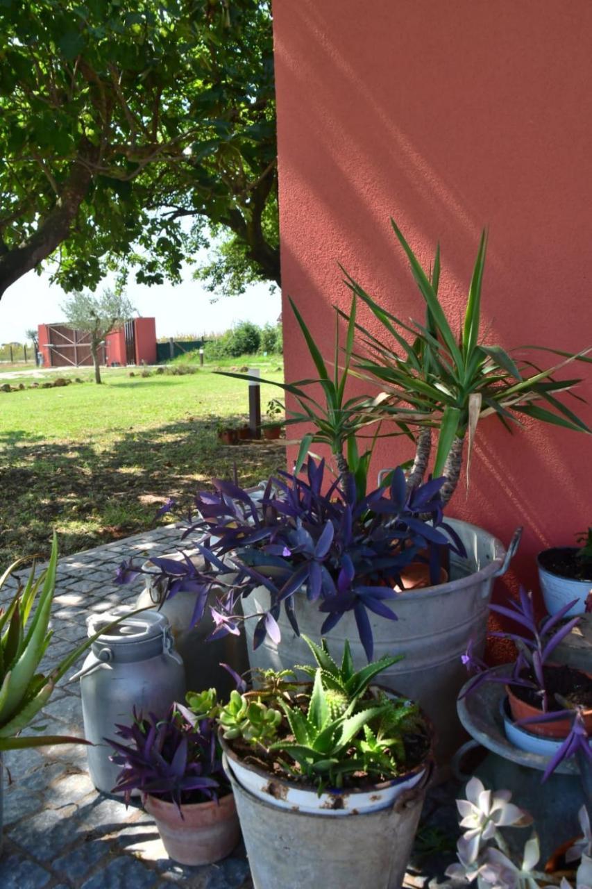 Bed and Breakfast Il Casale di Giulia di Aprilia Esterno foto